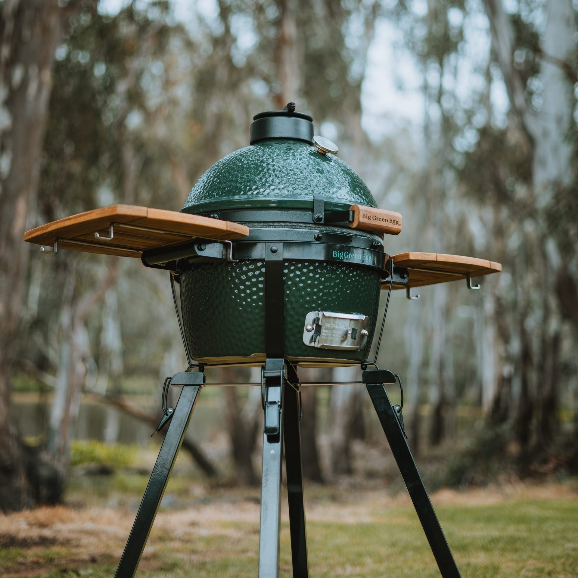 MiniMax Egg Portable Kit - Big Green Egg