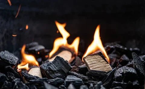 Lump Charcoal vs Other Fuels for BBQ Cooking - Big Green Egg