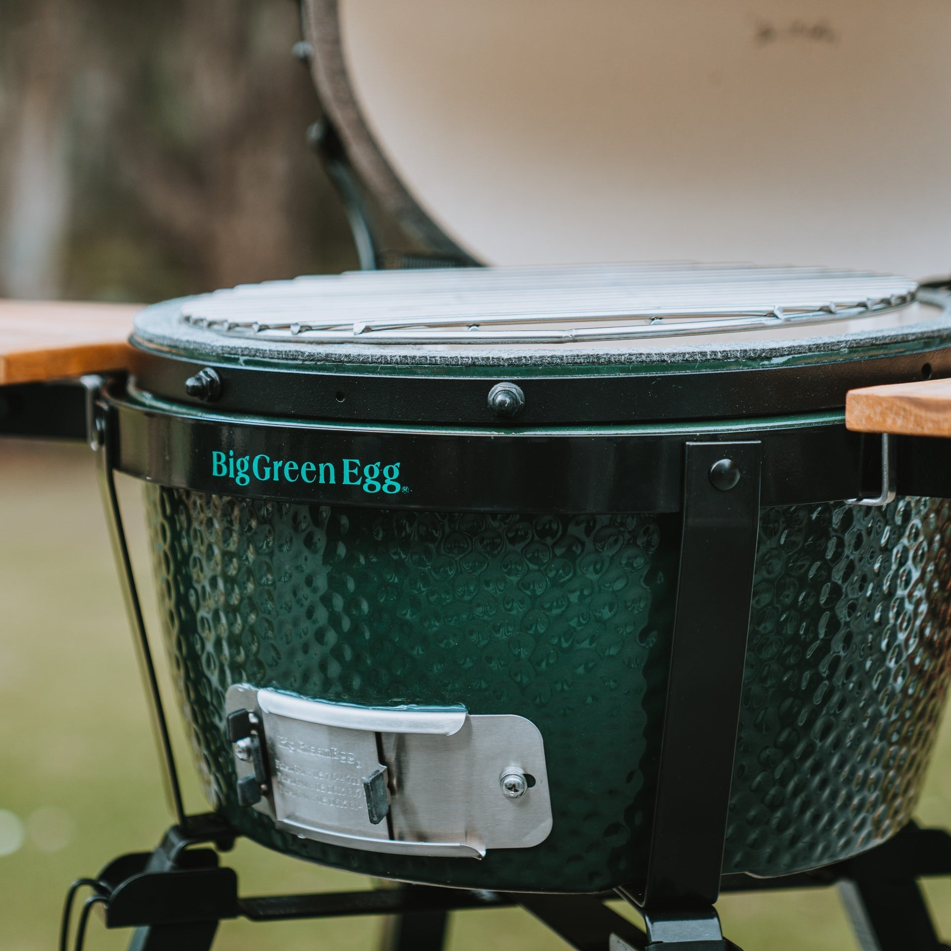 MiniMax Egg Portable - Big Green Egg